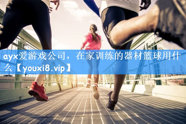 ayx爱游戏公司，在家训练的器材篮球用什么