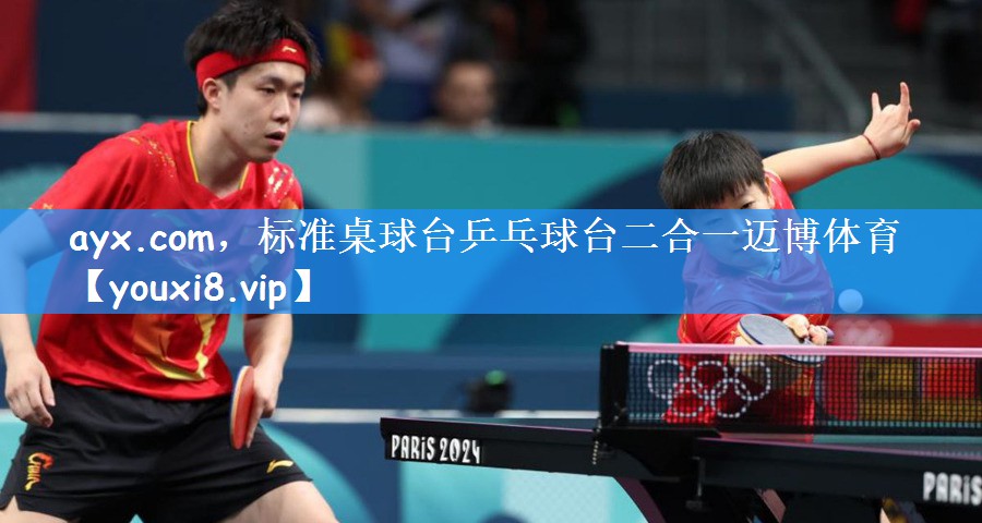 ayx.com,标准桌球台乒乓球台二合一迈博体育