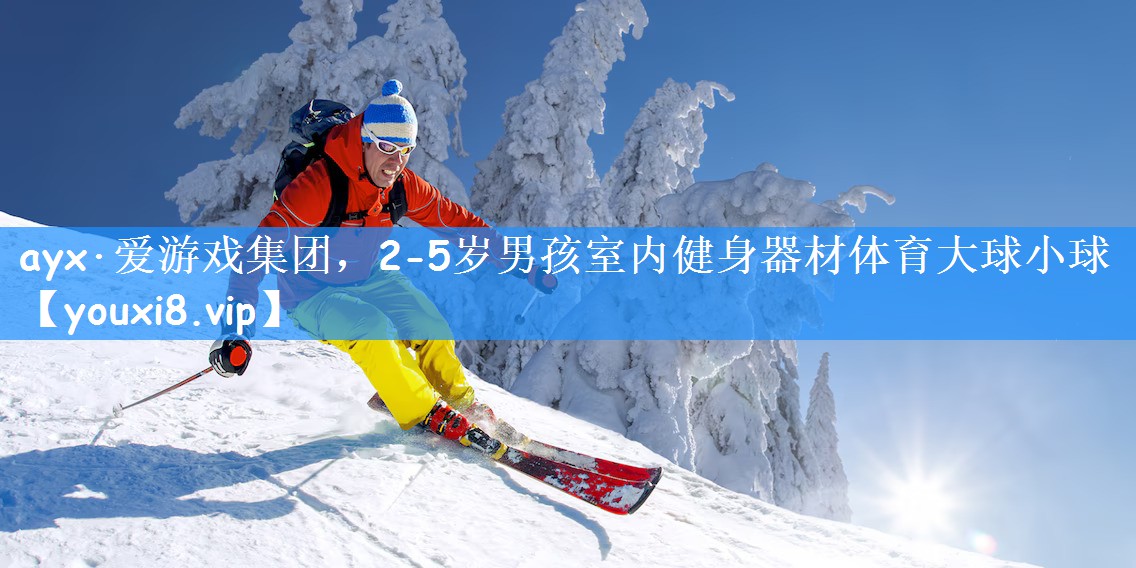 ayx·爱游戏集团,2-5岁男孩室内健身器材体育大球小球