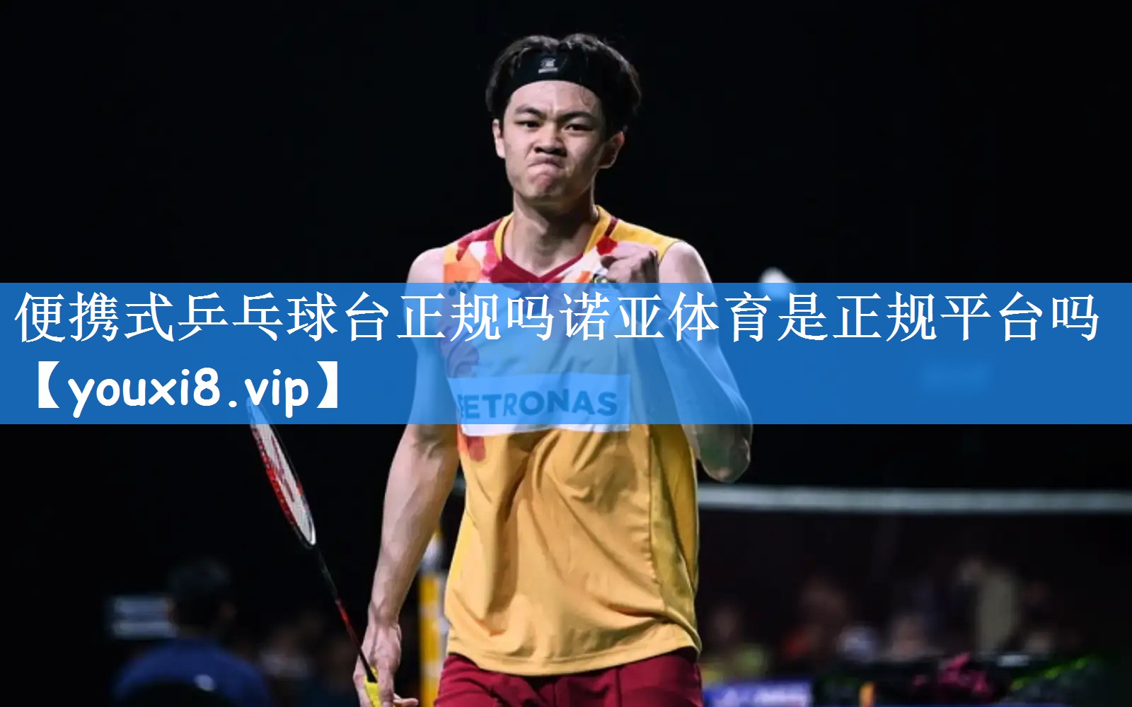 便携式乒乓球台正规吗诺亚体育是正规平台吗