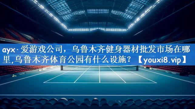 ayx·爱游戏公司,乌鲁木齐健身器材批发市场在哪里,乌鲁木齐体育公园有什么设施?
